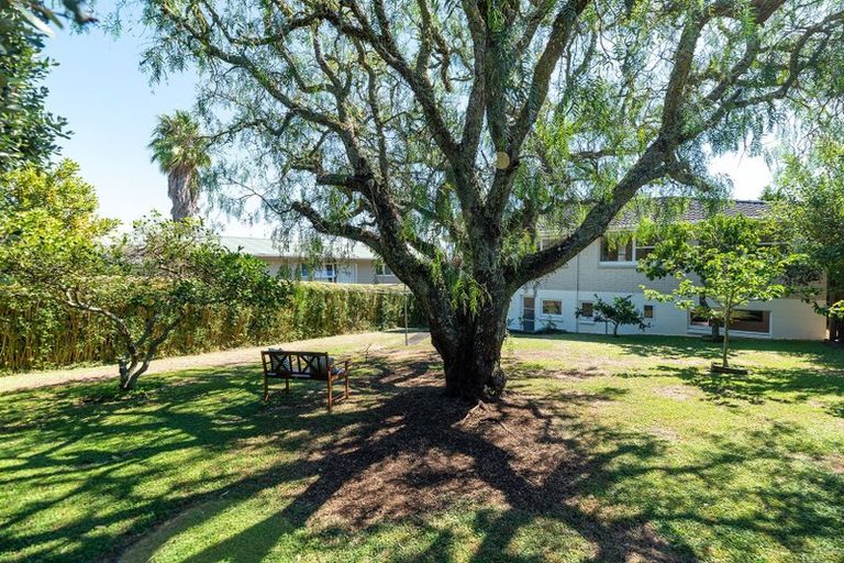 Photo of property in 15 Marywil Crescent, Hillcrest, Auckland, 0627