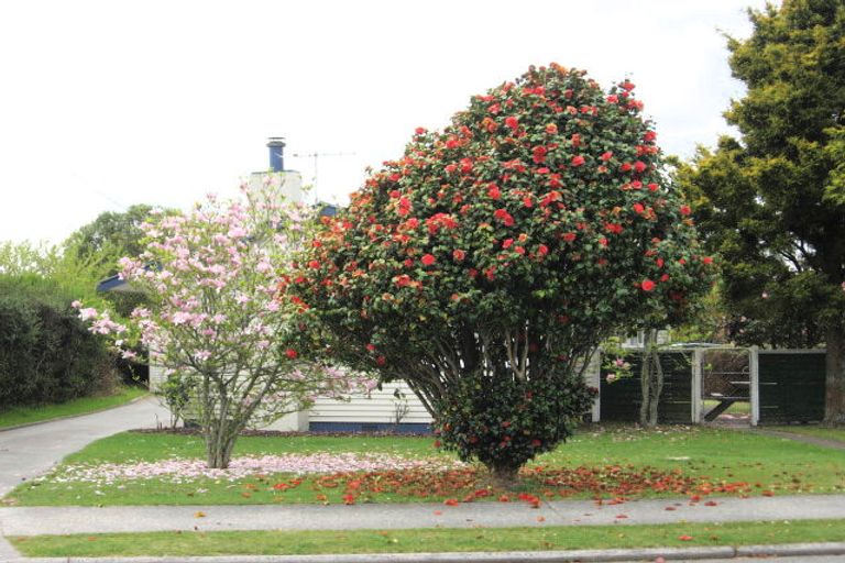 Photo of property in 37 Corlett Street, Utuhina, Rotorua, 3015