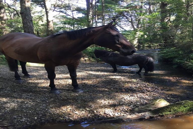 Photo of property in 482 Millbrook Road, Waipu, 0582