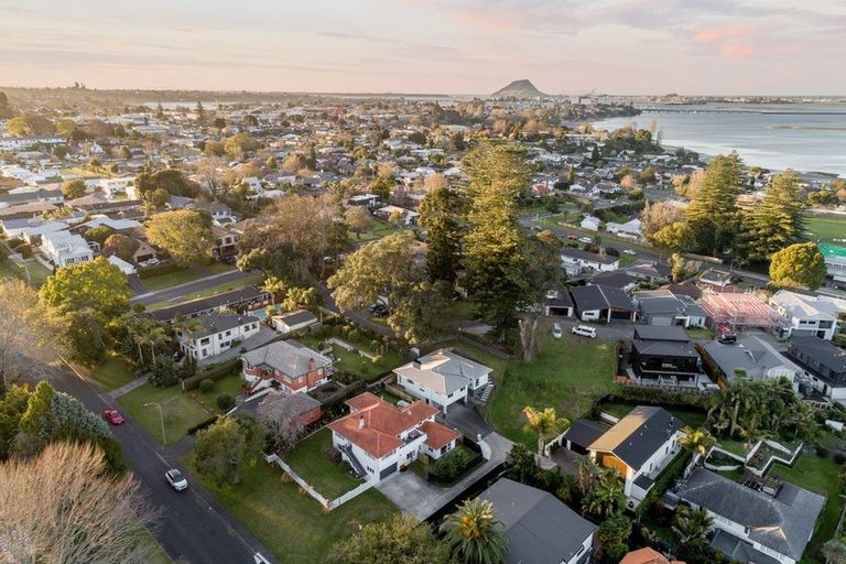 Photo of property in 41 Fourteenth Avenue, Tauranga South, Tauranga, 3112