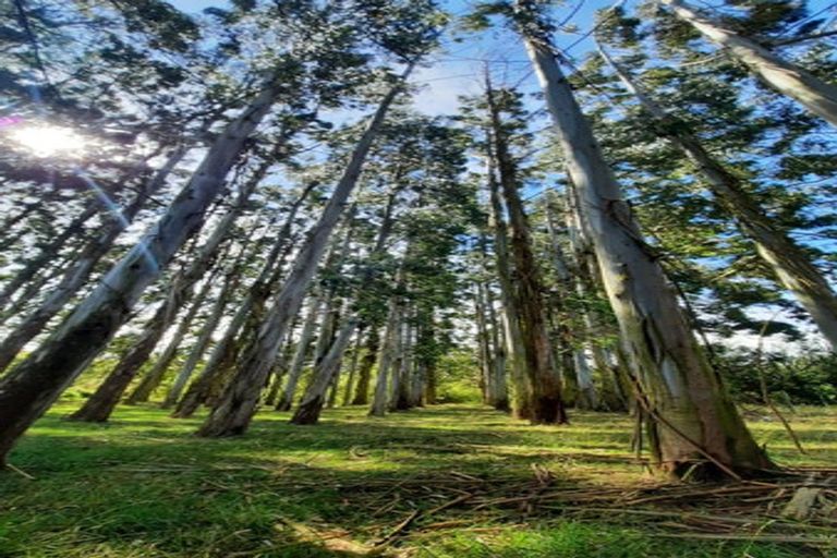 Photo of property in 746 Clutha River Road, Rongahere, Balclutha, 9274