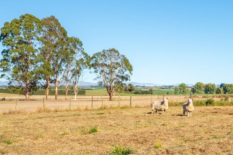 Photo of property in 209 Rosewill Valley Road, Rosewill, Timaru, 7975