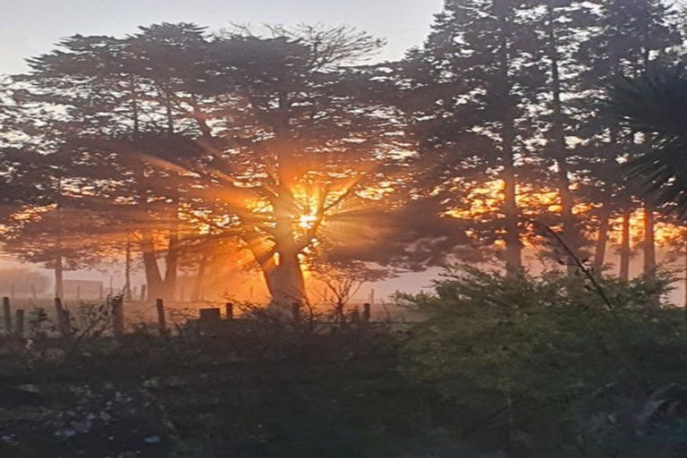 Photo of property in 65 Papa Road, Titoki, Whangarei, 0172