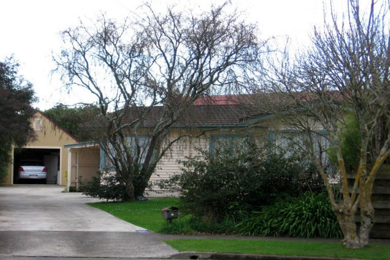 Photo of property in 8 Dundas Place, Awapuni, Palmerston North, 4412