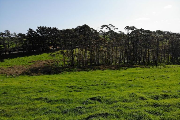 Photo of property in 3060 Kaipara Coast Highway, Glorit, 0984
