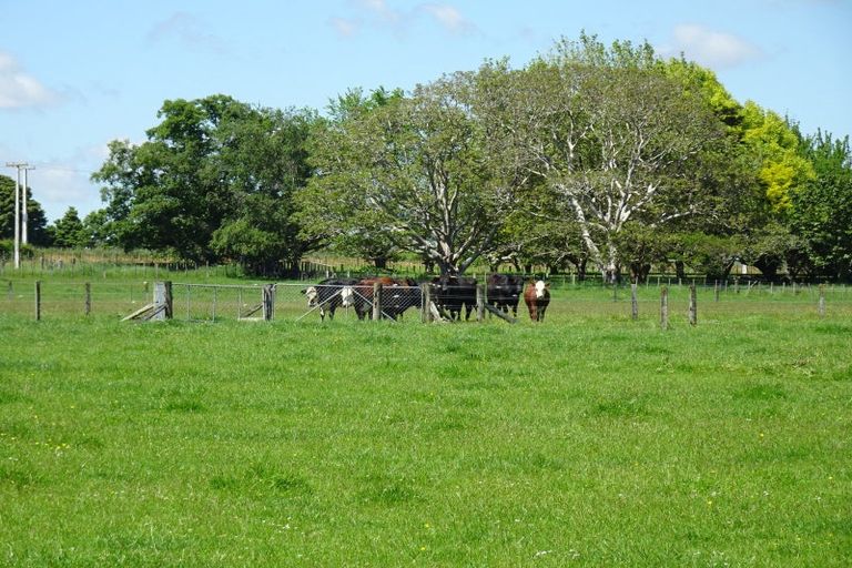 Photo of property in 21 Taylors Road, Mangatainoka, Woodville, 4999