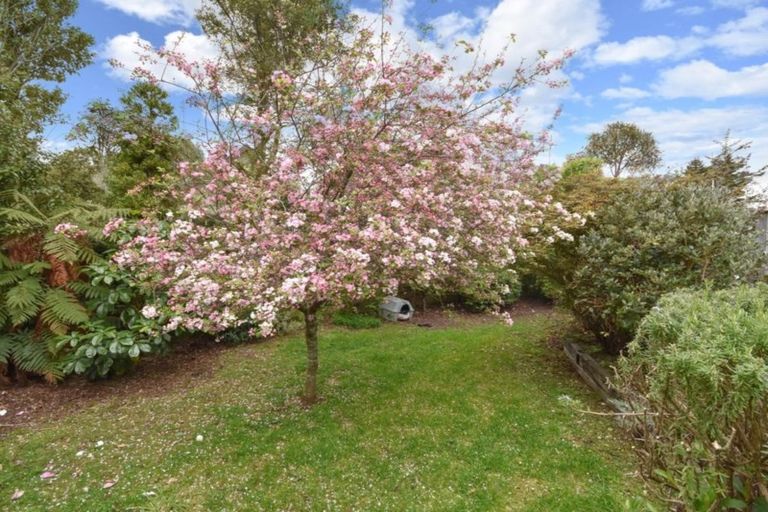 Photo of property in 20 Rosebery Street, Belleknowes, Dunedin, 9011