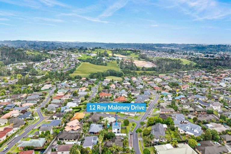 Photo of property in 12 Roy Maloney Drive, Henderson, Auckland, 0612