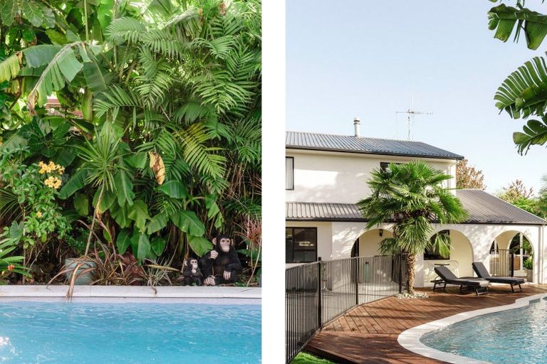 Photo of property in 175 Cameron Road, Te Puke, 3119