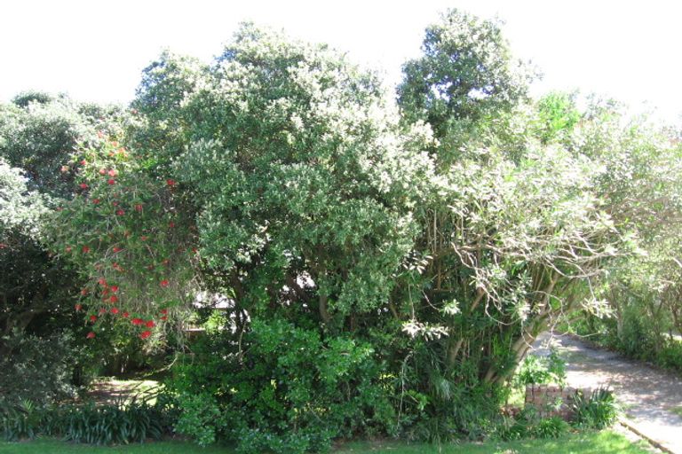 Photo of property in 26 Douglas Street, Okitu, Gisborne, 4010