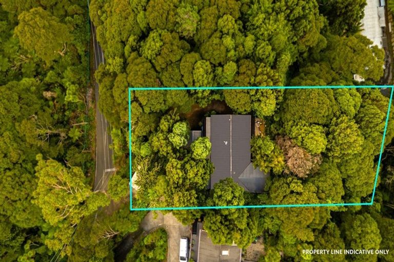 Photo of property in 84 Mountain Road, Henderson Valley, Auckland, 0612