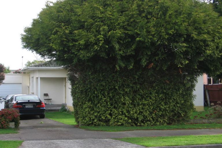 Photo of property in 18 Phoenix Avenue, Hokowhitu, Palmerston North, 4410