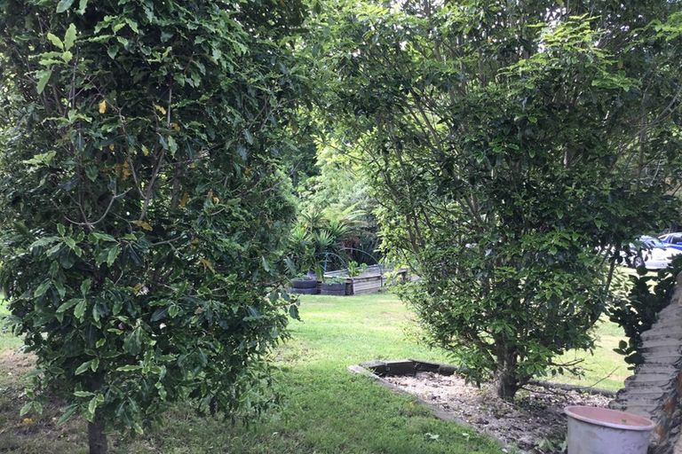 Photo of property in 320a Pikowai Road, Pikowai, Whakatane, 3194