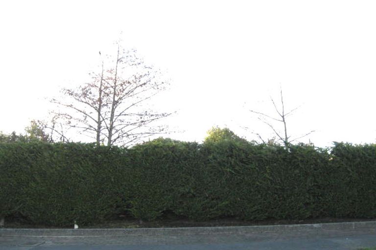 Photo of property in 37 Leith Street, Windsor, Invercargill, 9810