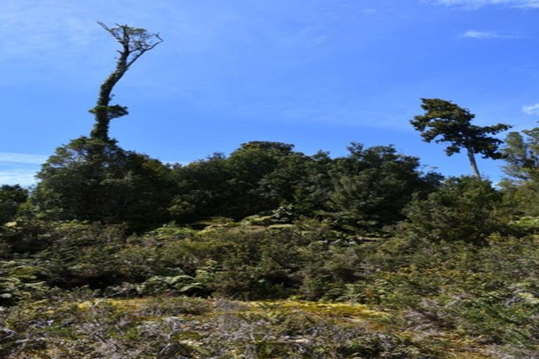 Photo of property in 78b Eco Place, Little Wanganui, Karamea, 7893