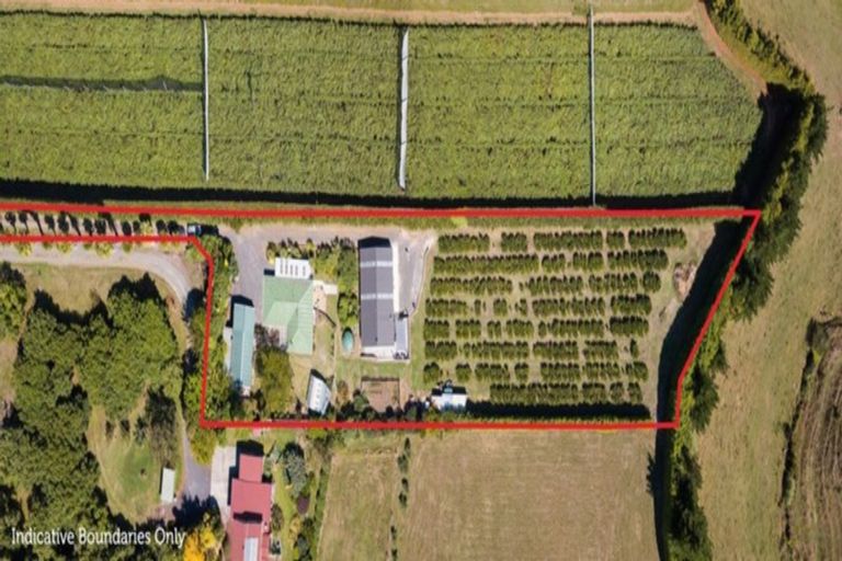 Photo of property in 88b Lockington Road, Aongatete, Katikati, 3181