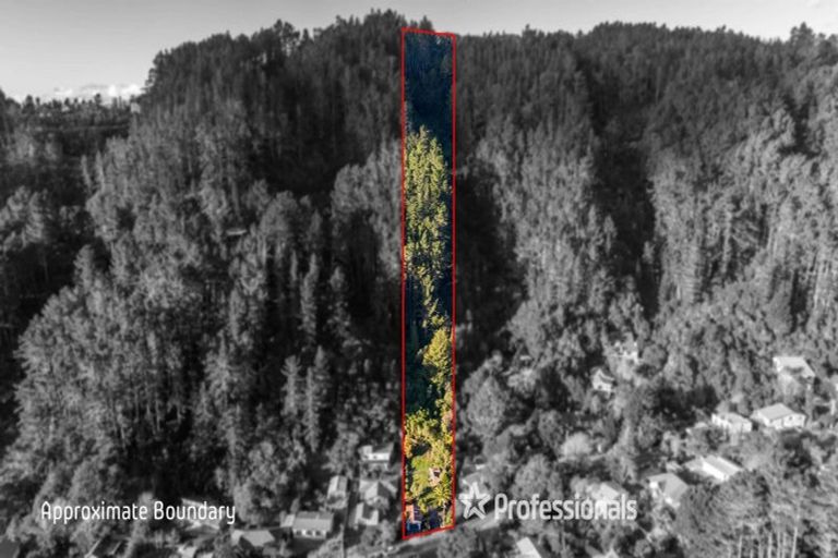 Photo of property in 49 Elmslie Road, Pinehaven, Upper Hutt, 5019