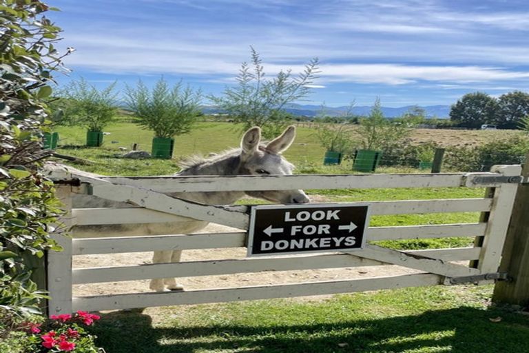 Photo of property in 805 Opihi Road, Totara Valley, Pleasant Point, 7982