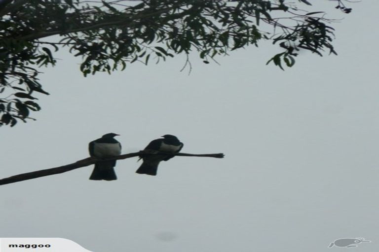 Photo of property in 4 Claremont Road, Gleniti, Timaru, 7910