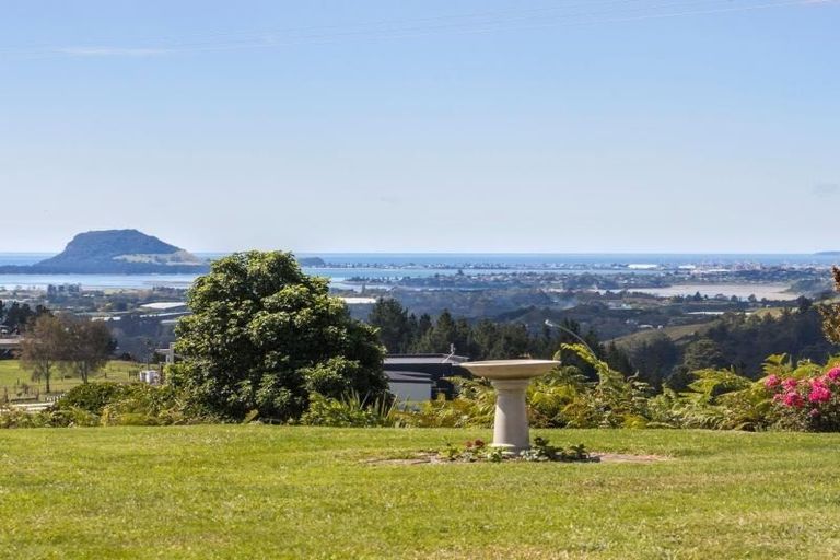Photo of property in 354a Whakamarama Road, Whakamarama, Tauranga, 3179
