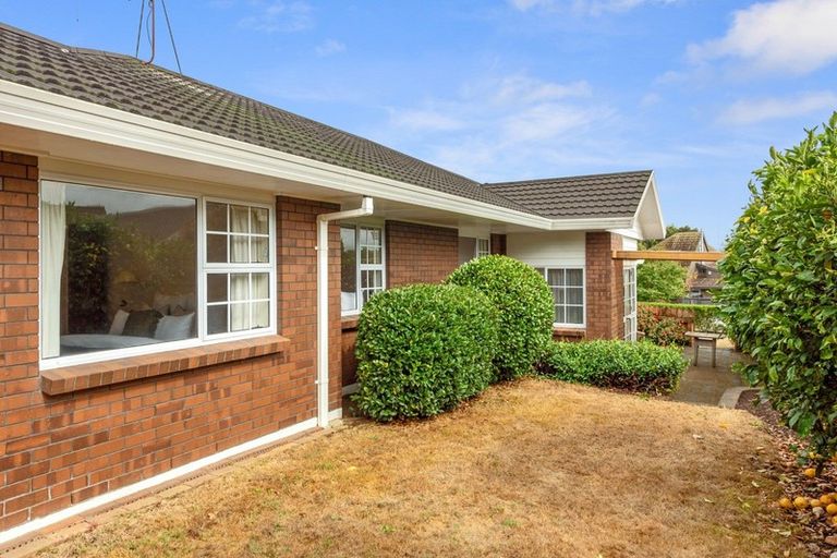 Photo of property in 22 Ellerslie Avenue, Chartwell, Hamilton, 3210