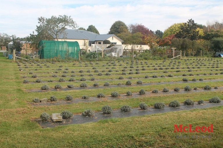 Photo of property in 73 Northpark Road, Newland, Ashburton, 7772