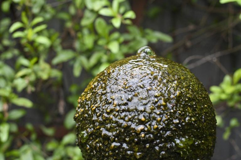 Photo of property in 201c Windsor Avenue, Parkvale, Hastings, 4122