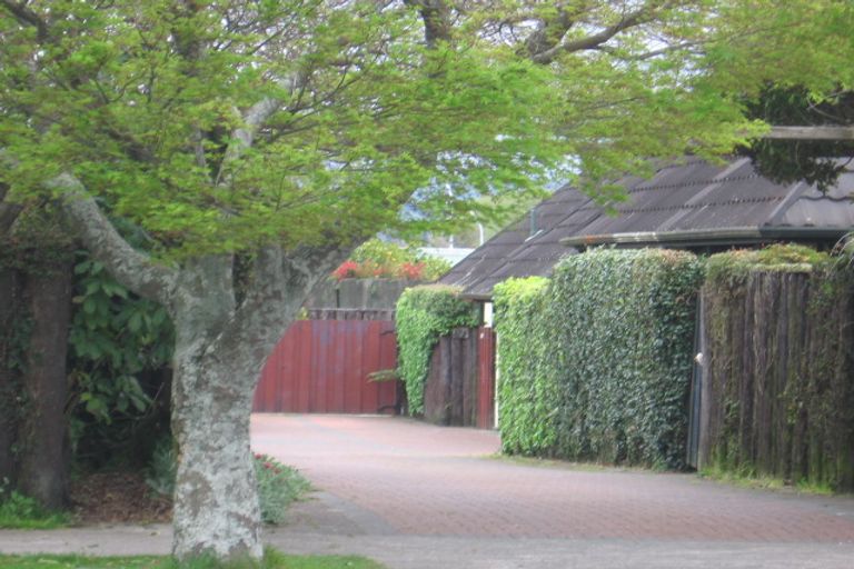 Photo of property in 67b Ranolf Street, Victoria, Rotorua, 3010