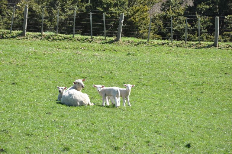 Photo of property in 440 Wharehine Road, Wharehine, Wellsford, 0973