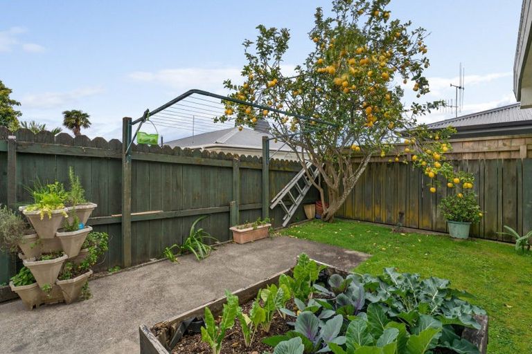 Photo of property in 26a Goods Road, Otumoetai, Tauranga, 3110