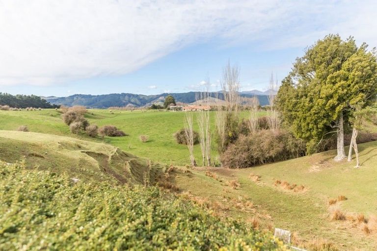 Photo of property in 65 Roslyn Road, Levin, 5510