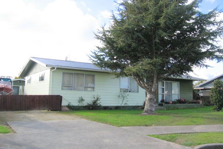 Photo of property in 17 Tingey Avenue, Feilding, 4702