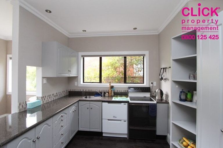 Photo of property in 49 Rhodes Terrace, North East Valley, Dunedin, 9010