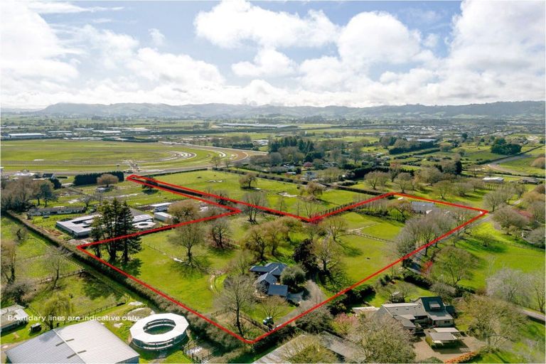 Photo of property in 31 Racecourse Road, Cambridge, 3493