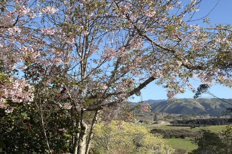 Photo of property in 52 Greenhill Road, Waikanae, 5391