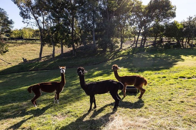 Photo of property in 2 Kilmarnock Close, Waldronville, Dunedin, 9018