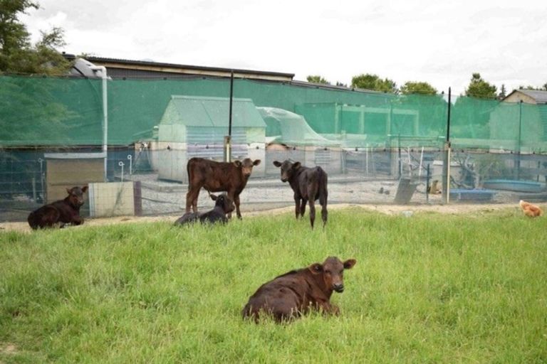 Photo of property in 226p Woodbank Road, Hanmer Springs, 7334