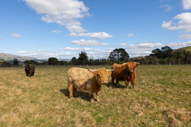 Photo of property in 1195d Pohangina Road, Pohangina, Ashhurst, 4884