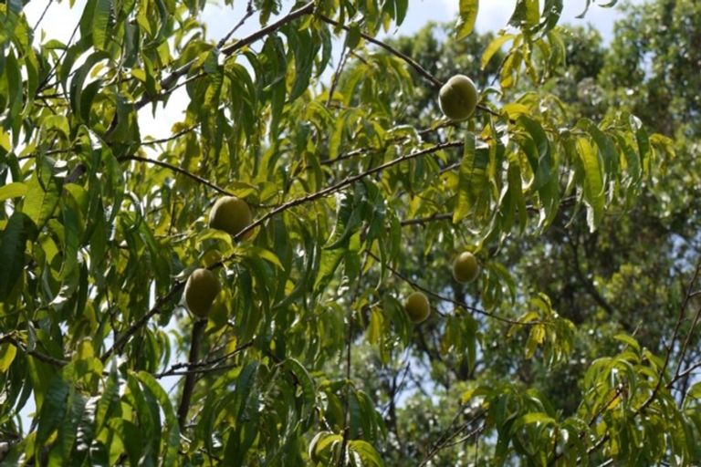 Photo of property in 1/406 East Coast Road, Sunnynook, Auckland, 0630