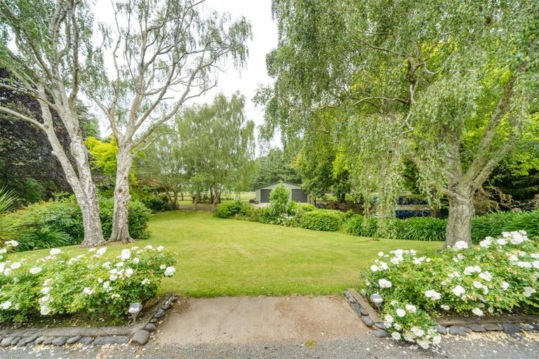 Photo of property in 273 Parewanui Road, Bulls, 4894