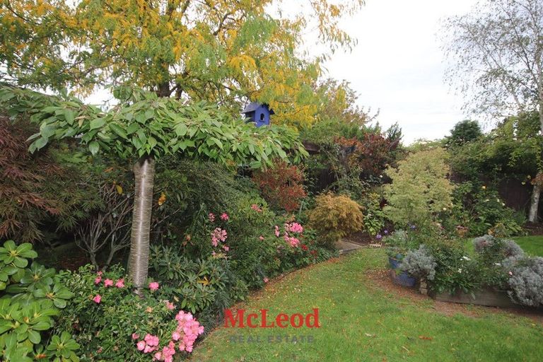 Photo of property in 53 Mcmurdo Street, Tinwald, Ashburton, 7700