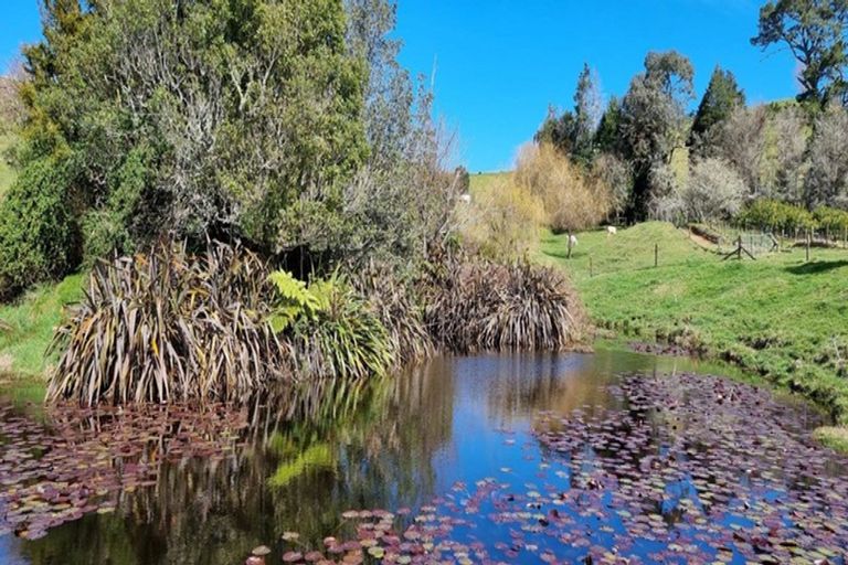 Photo of property in 559 Crawford Road, Minden, Tauranga, 3171