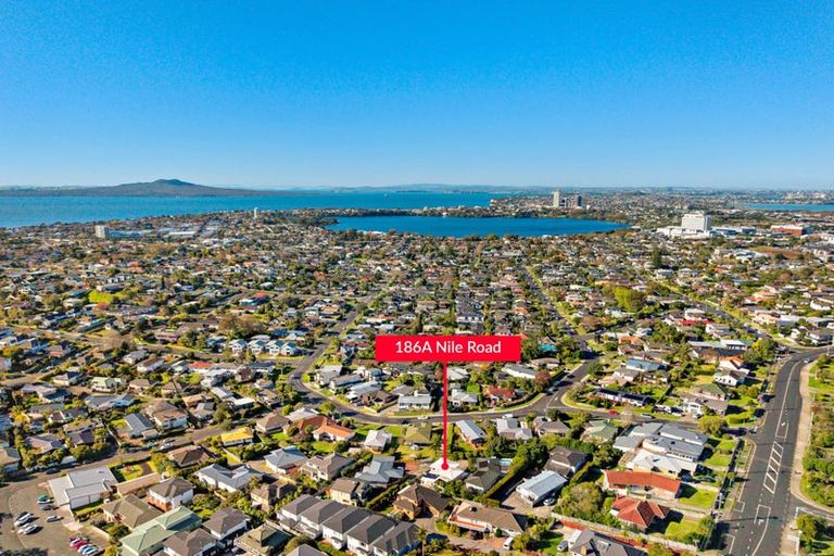 Photo of property in 186a Nile Road, Forrest Hill, Auckland, 0620