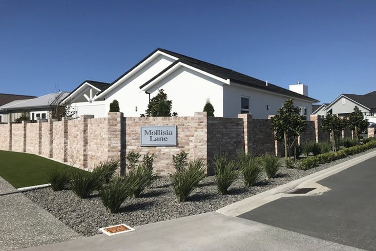 Photo of property in 18 Mollisia Lane, Papamoa Beach, Papamoa, 3118