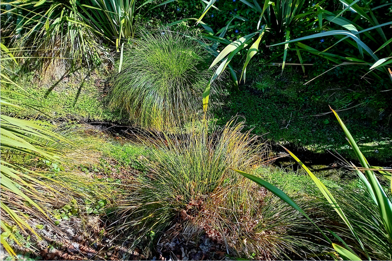 Photo of property in 7 Styxspring Lane, Harewood, Christchurch, 8051