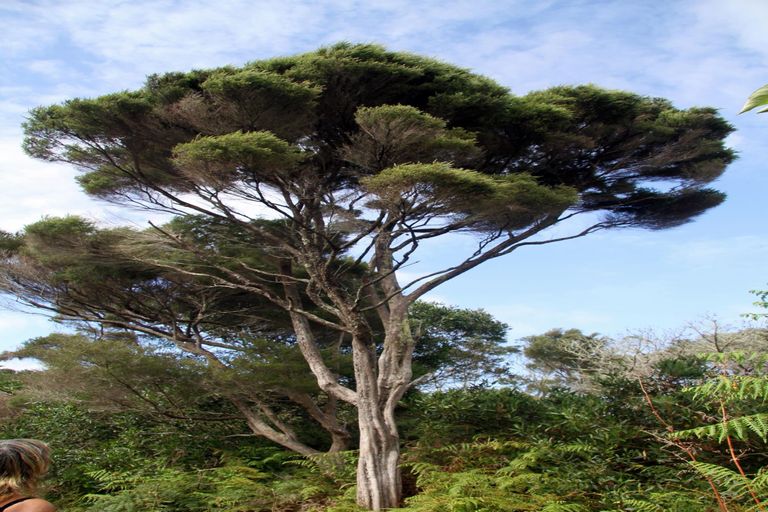 Photo of property in 63 Trig Road, Houhora, Kaitaia, 0484