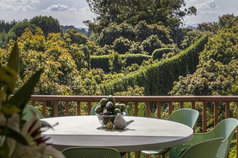 Photo of property in 313 Youngson Road, Whakamarama, Tauranga, 3179