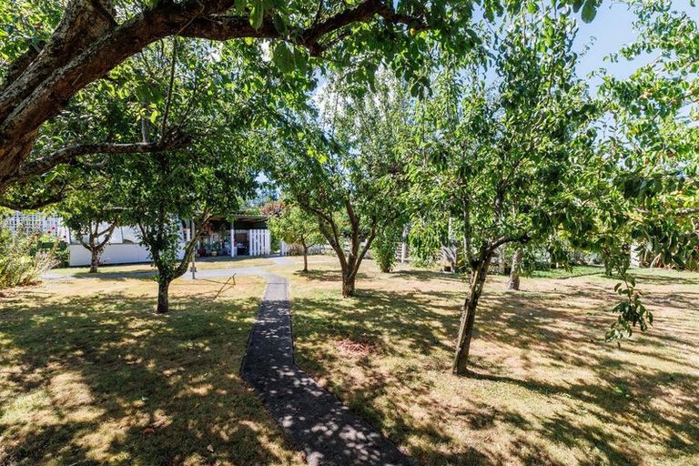 Photo of property in 47 West Bush Road, Upper Plain, Masterton, 5888