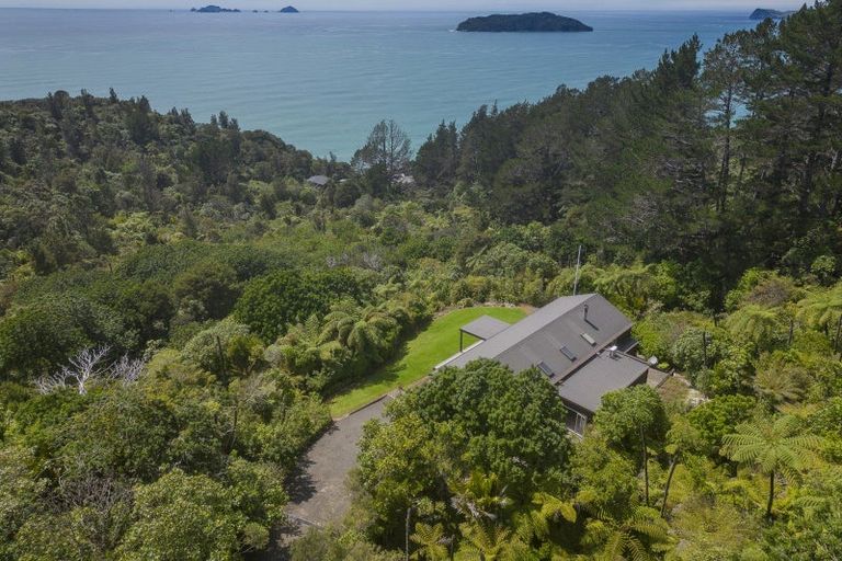 Photo of property in 131 Pumpkin Hill Road, Pumpkin Hill, Whitianga, 3591