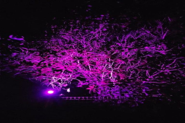 Photo of property in 8 Saint Annes Square, Tawa, Wellington, 5028